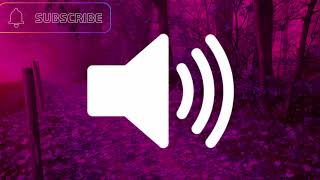 Dramatic Sound (Free Sound Effect!)