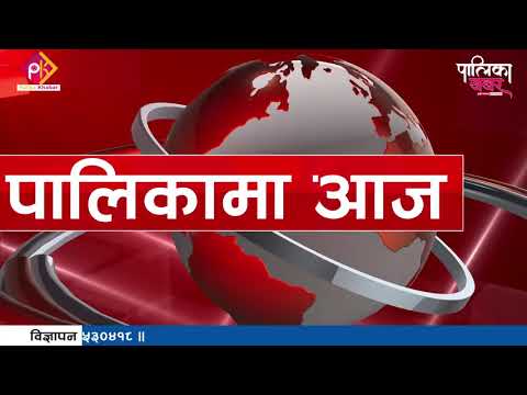 पालिकामा दिनभरः कतै जनप्रतिनिधि अपराधमा मस्त, कतै धानबालीको क्षति संकलन गर्न व्यस्त (भिडियो खबर)