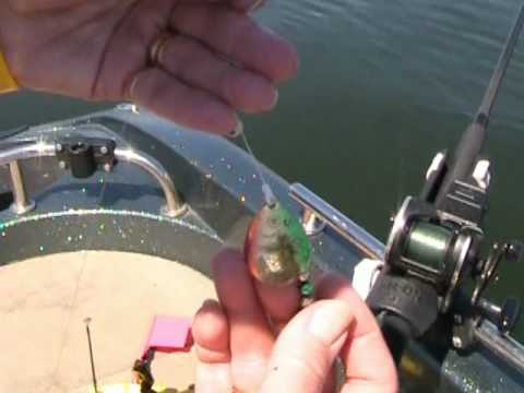 Trolling Harnesses for Walleye on Green Bay