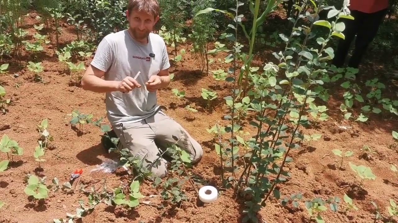 Besuch auf einem Permakultur Schulbauernhof