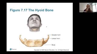 Ch. 7 (Axial Skeleton) Video