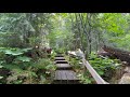 Exploring The Ancient Forest Park in Canada