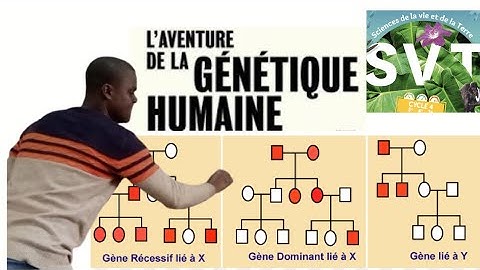 # SVT: Genetics/Pedigree *Terminale* How to solve?