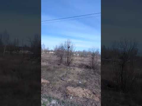 ДУМАЛИ НУЖНА ПОМОЩЬ