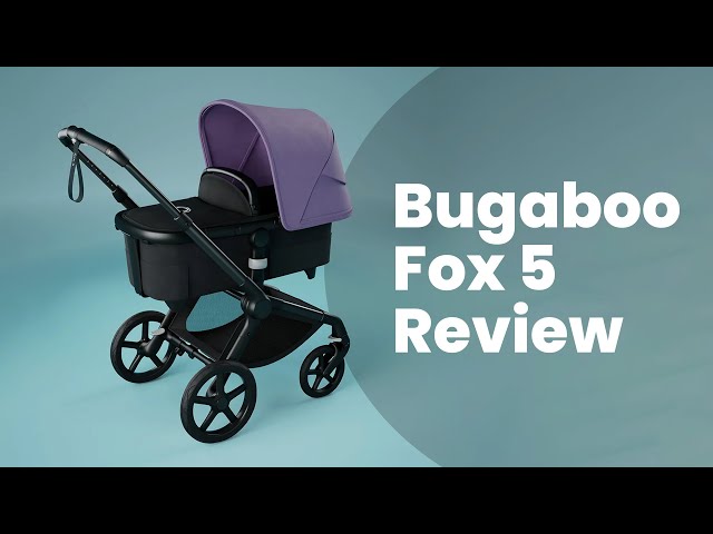 Bugaboo Fox 5: What to know before buying