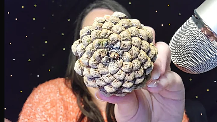 ASMR With Fall Decorations Tapping/Scratching(Whispered)