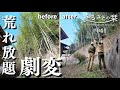 【竹林整備④】遂に完結…!?古民家の荒れ果てた竹林がスッキリ!!|田舎暮らし041
