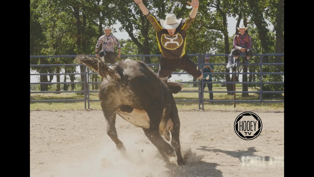 BULLFIGHTERS ONLY (BFO) (@bullfightersonly) • Instagram photos and videos