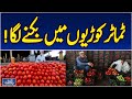 Tomato Prices Mirpurkhas  | Farmers Crisis | Imported Tomatoes 500PKR - Aaj Pakistan News