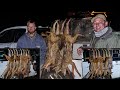 Night varminting 35 jackals and 4 porcupines in south africa  warning multiple impact shots