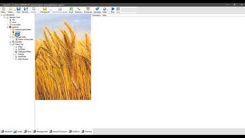 APSIM - Nitrogen Cycling (APSIM 7.10)