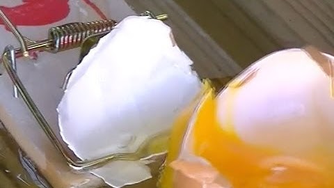 Slow Motion: Egg Explodes in Mouse Trap & GoPro Hero 3+ Plus Black Edition