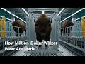 Inside a Modern Bison Wool Factory | How Million-Dollar Winter Wear Are Made (Full Process)