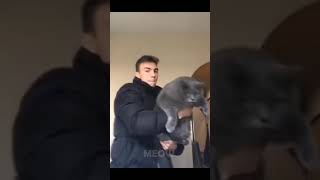 Sdzenvideowatch641F85A9Ed8330624E03B900