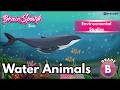 Water Animals | EVS Grade B | Chapter 15 | IP Study