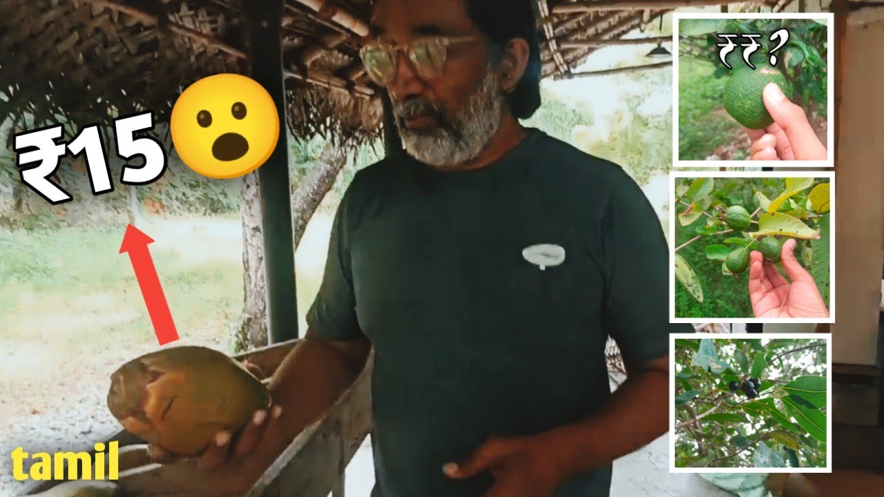 Organic FARM STORE in chennai | Tamil |