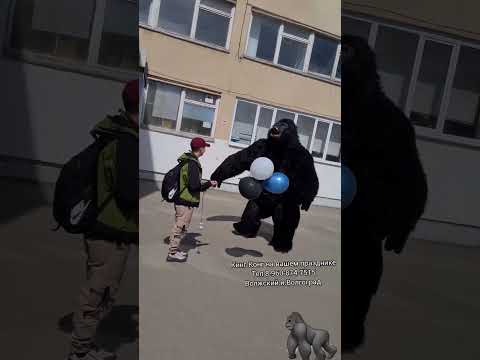Вся школа увидела как мама поздравила сына с Днём Рождения 🦍 гигантский КингКонг в Волжском #гарилла