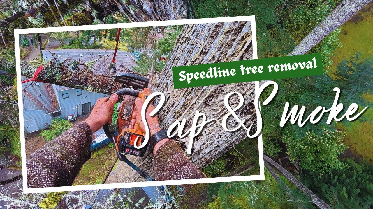 Speedline Tree Removal - YouTube