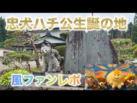 [藤井風]ファン貴重レポ “忠犬ハチ公生誕の地” #fujiikaze 