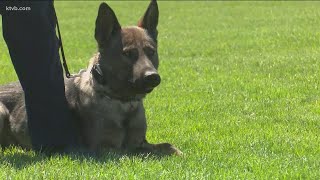 Three new K9 officers join the Meridian Police Department