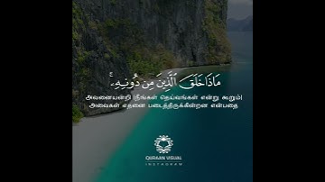 Surah Al-Lukman | Ayah 11 | عبد الوهاب طاهر  | Abdul Wahab Tahir | سورة القمان | هذا خلق الله
