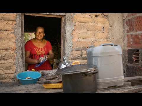 Vídeo: Què maten els pesticides?