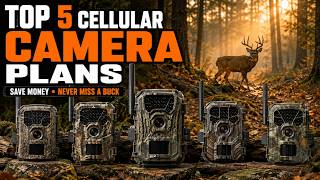 Top 5 Best Cellular Trail Camera Plans in 2026 Which One Is Worth Your Money