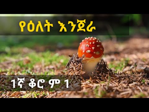 ቪዲዮ: ሶዲየም-cationite ማጣሪያ፡ ዓላማ እና የአሠራር መርህ