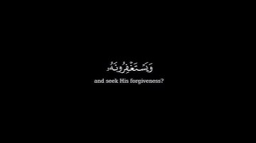 كرومة شاشه سوداء بصوت الشيخ أدريس أبكر من سورة المائدة .