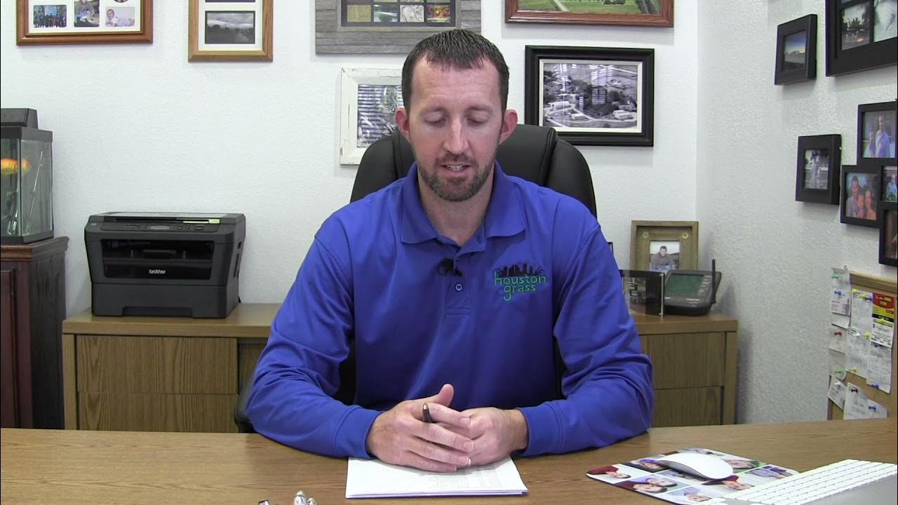 How Much Does Palmetto Grass Cost Palmetto St. Augustine Pearland Sugar Land Houston YouTube