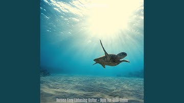 Simple Backdrops for Resting Easy