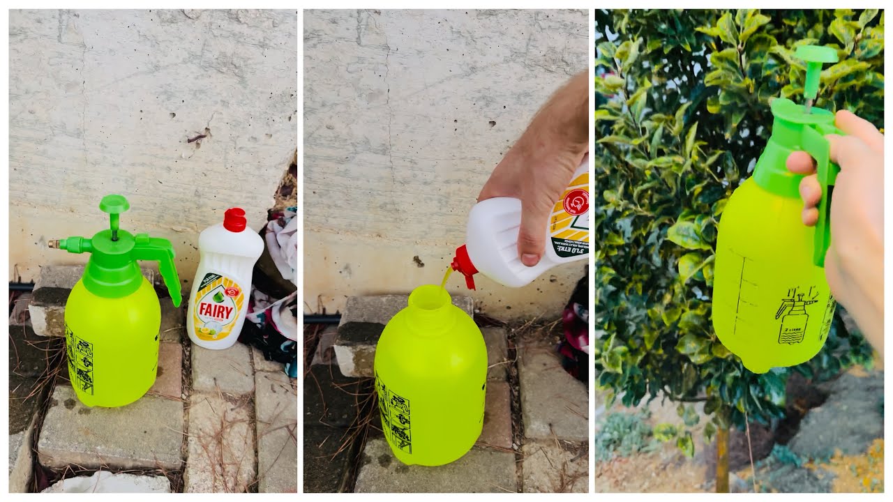 Deterjanla Pireciklerden Kurtulma #elma#red#fairy#apple#shorts#agri@ahmetmece1091@RENKLERVEZEVKLER