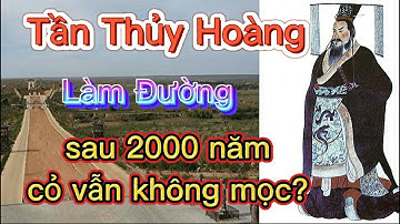 Tần Thủy Hoàng :Làm Đường sau 2000 năm cỏ vẫn không mọc được ?