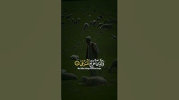 الآيات الأولى من سورة الأعلى راحة نفسية تامة القارئ عبدالرحمن مسعد 🤤🥰🎧👍...