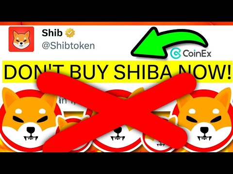 SEBELUM SEMUANYA SELESAI‼️ BERHENTI LAKUKAN INI PADA SHIBA INU KALIAN‼️