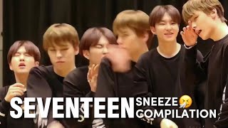 seventeen sneeze compilation