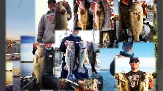 The Bass Hookup