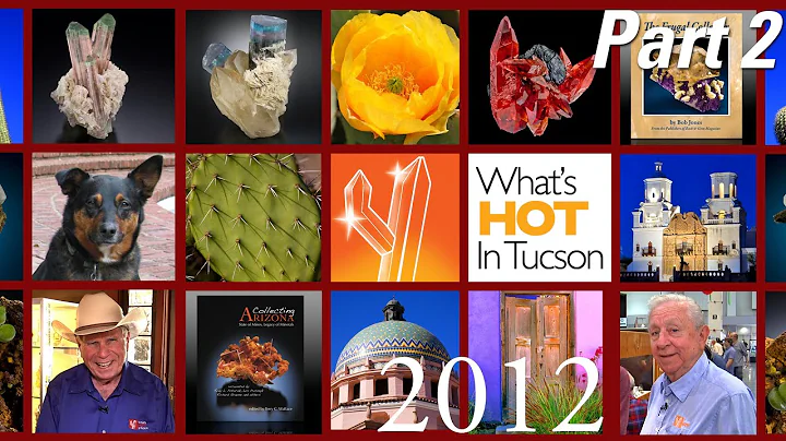What's Hot In Tucson: 2012 - Disc 02