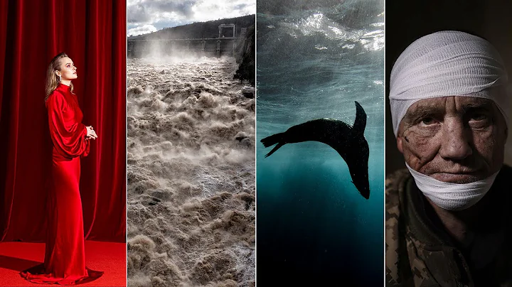 16 standout photos from 2022 by Herald photographers