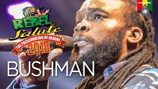 Bushman Live at Rebel Salute 2018