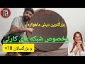 بزرگترین دیش ماهواره مخصوص دریافت کانال های کارتی و بزرگسالان 18 بزرگترین دیش ماهواره مخصوص دریافت کانال های کارتی و بزرگسالان 18