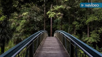 Unsplash.com Nature Images