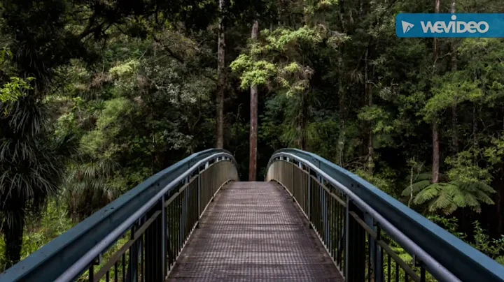 Unsplash.com Nature Images