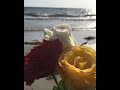ف ياموجي ولم يبقى سوانا ف ياموجي ولم يبقى سوانا
