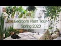 Bedroom Plant Tour-Spring 2020