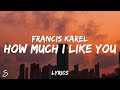 Francis Karel - I Don't Like How Much I Like You (Lyrics)