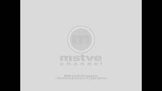 Veterans Day Special Mstve Channel Productions Logo - 2X2 Variant, 2002-2005, Updated