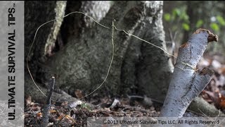 How to Make a Basic SNARE Trap with Paracord or Wire - Catch Your Own Survival Food