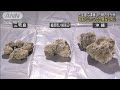 三宅島の軽石は福徳岡ノ場から・・・専門家見解(2021年11月27日)