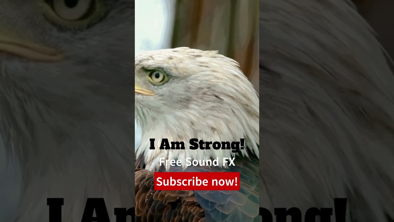 I'm Strong 💪 Motivation Short. Slow Motion Slow Whoosh Sound Effect -HD- -HQ-  Free FX! 